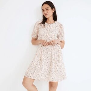 Madewell Peter-Pan Collared Puff Sleeve Dress